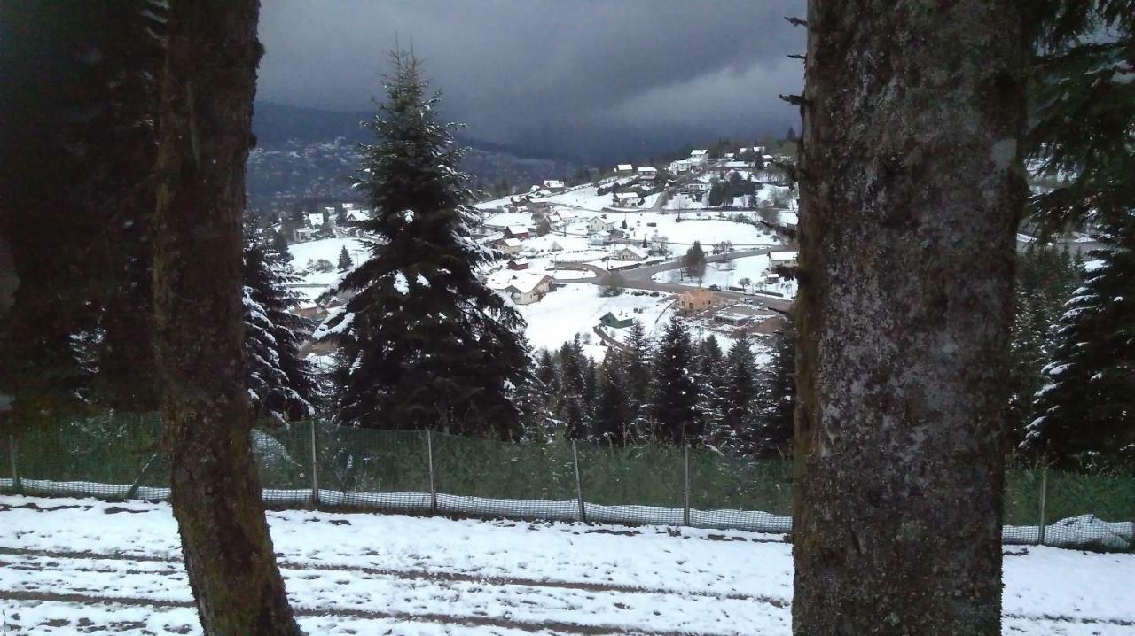 Apartment Cosy Gerardmer